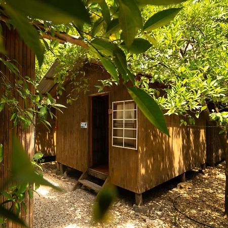 Olympos Yakamoz Pansiyon Exterior photo