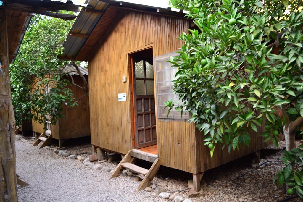 Olympos Yakamoz Pansiyon Room photo