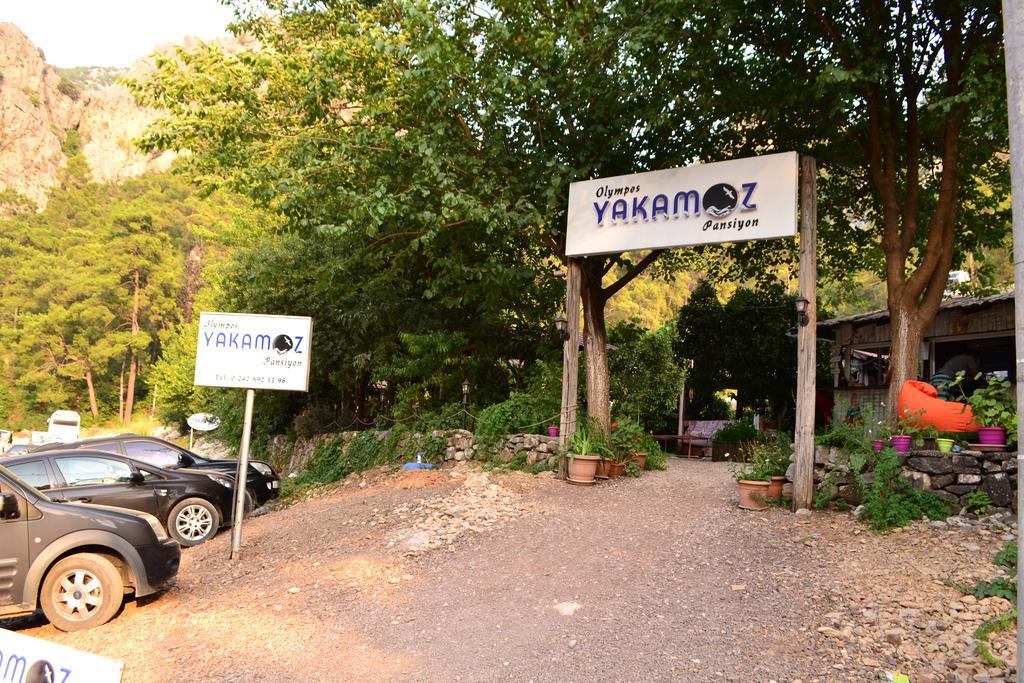 Olympos Yakamoz Pansiyon Exterior photo