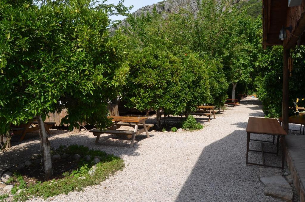 Olympos Yakamoz Pansiyon Exterior photo
