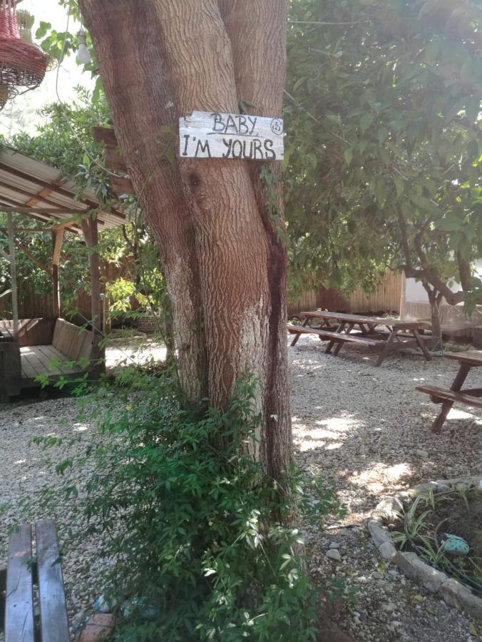 Olympos Yakamoz Pansiyon Exterior photo