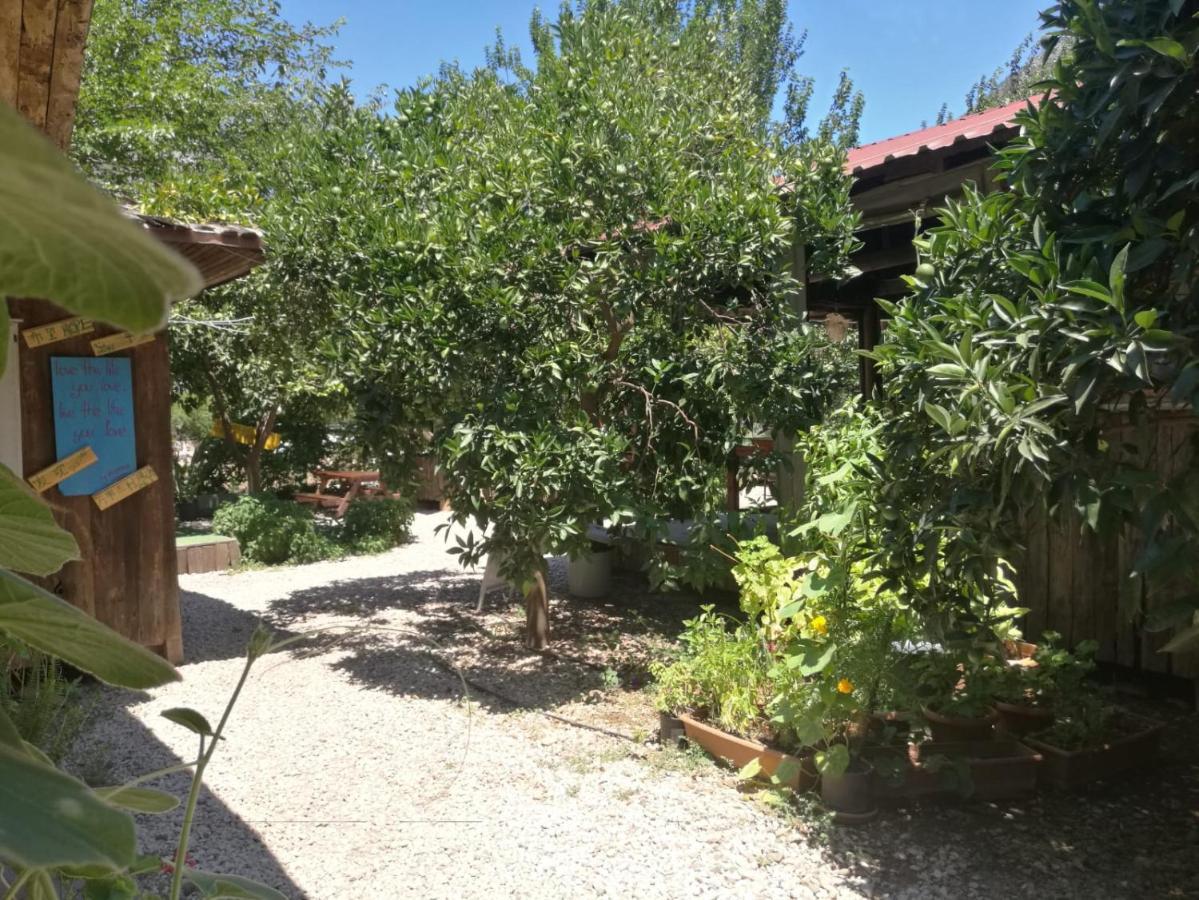 Olympos Yakamoz Pansiyon Exterior photo