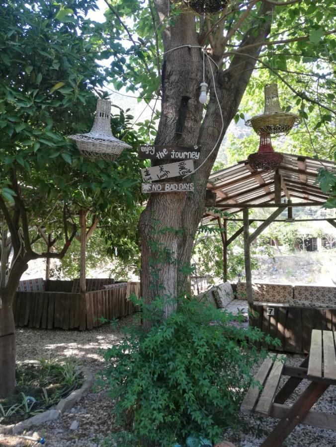 Olympos Yakamoz Pansiyon Exterior photo