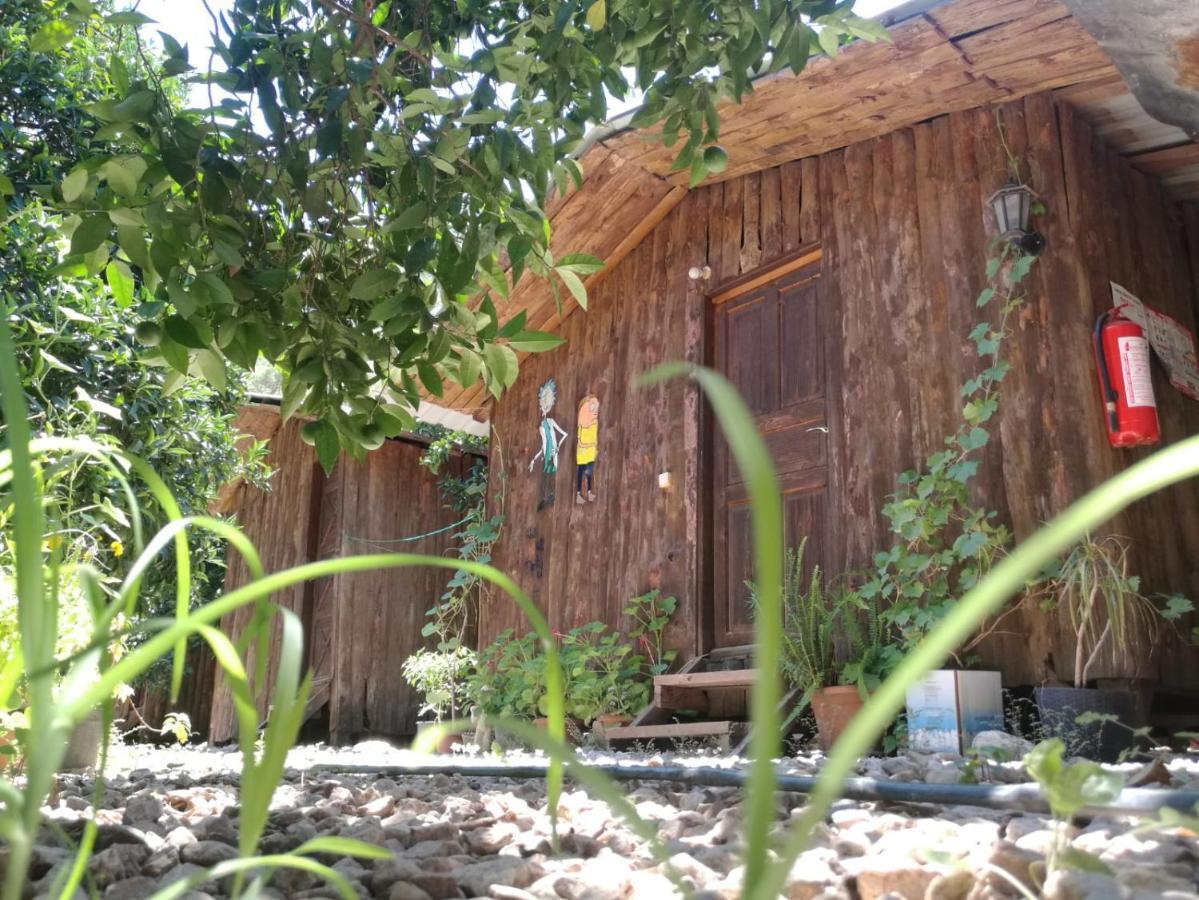Olympos Yakamoz Pansiyon Exterior photo