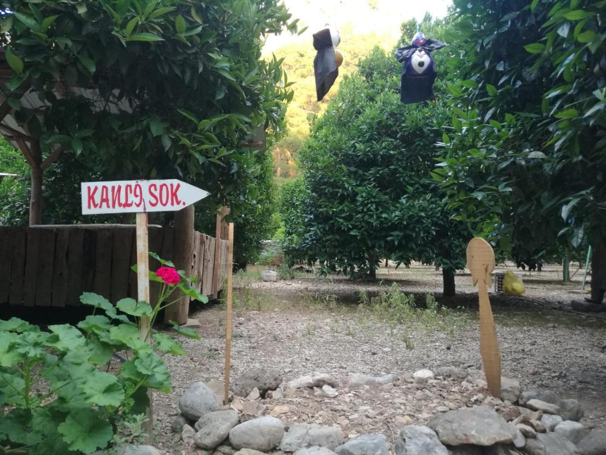 Olympos Yakamoz Pansiyon Exterior photo