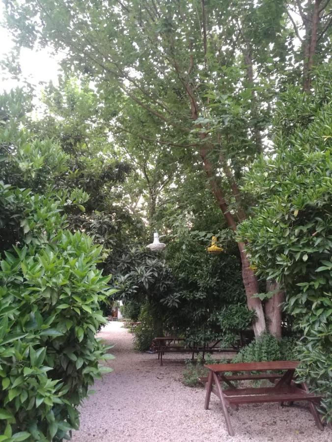 Olympos Yakamoz Pansiyon Exterior photo