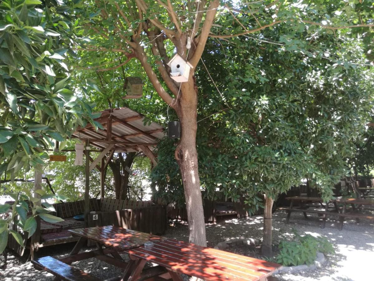 Olympos Yakamoz Pansiyon Exterior photo