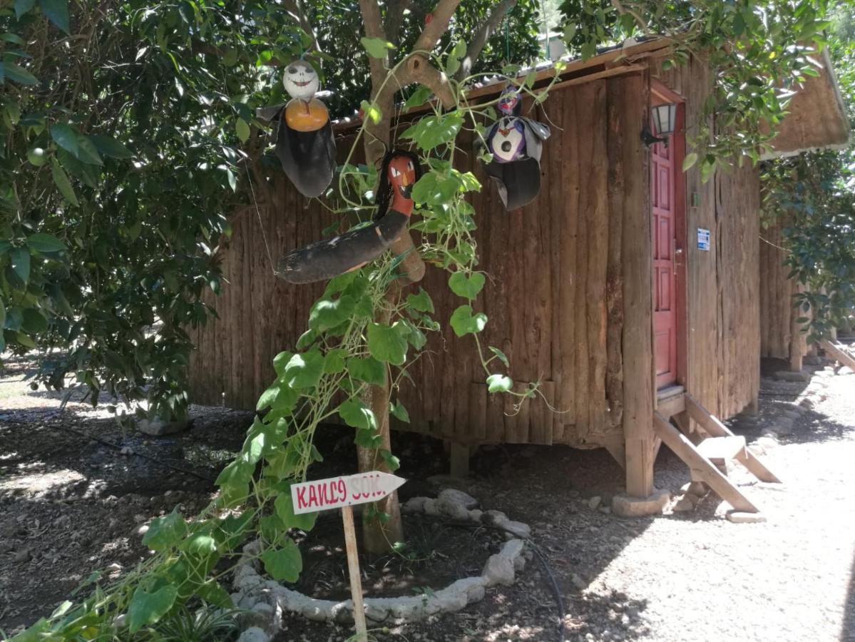 Olympos Yakamoz Pansiyon Exterior photo