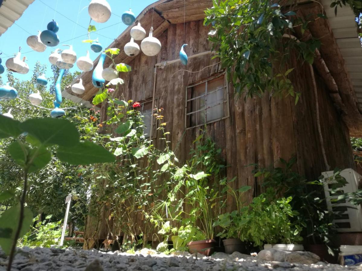 Olympos Yakamoz Pansiyon Exterior photo