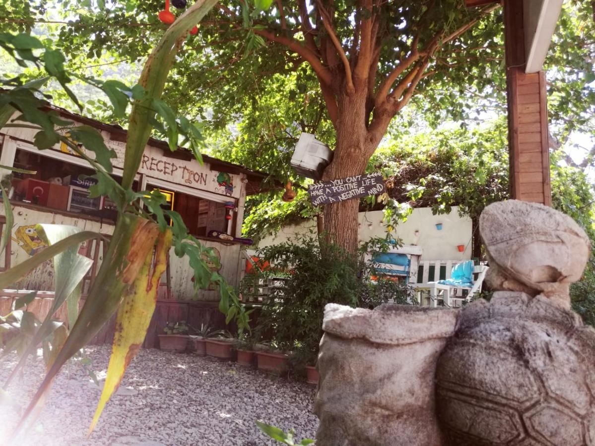 Olympos Yakamoz Pansiyon Exterior photo