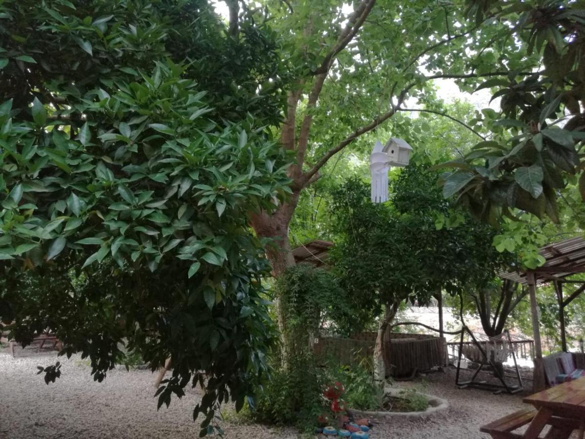 Olympos Yakamoz Pansiyon Exterior photo