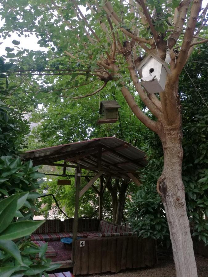 Olympos Yakamoz Pansiyon Exterior photo